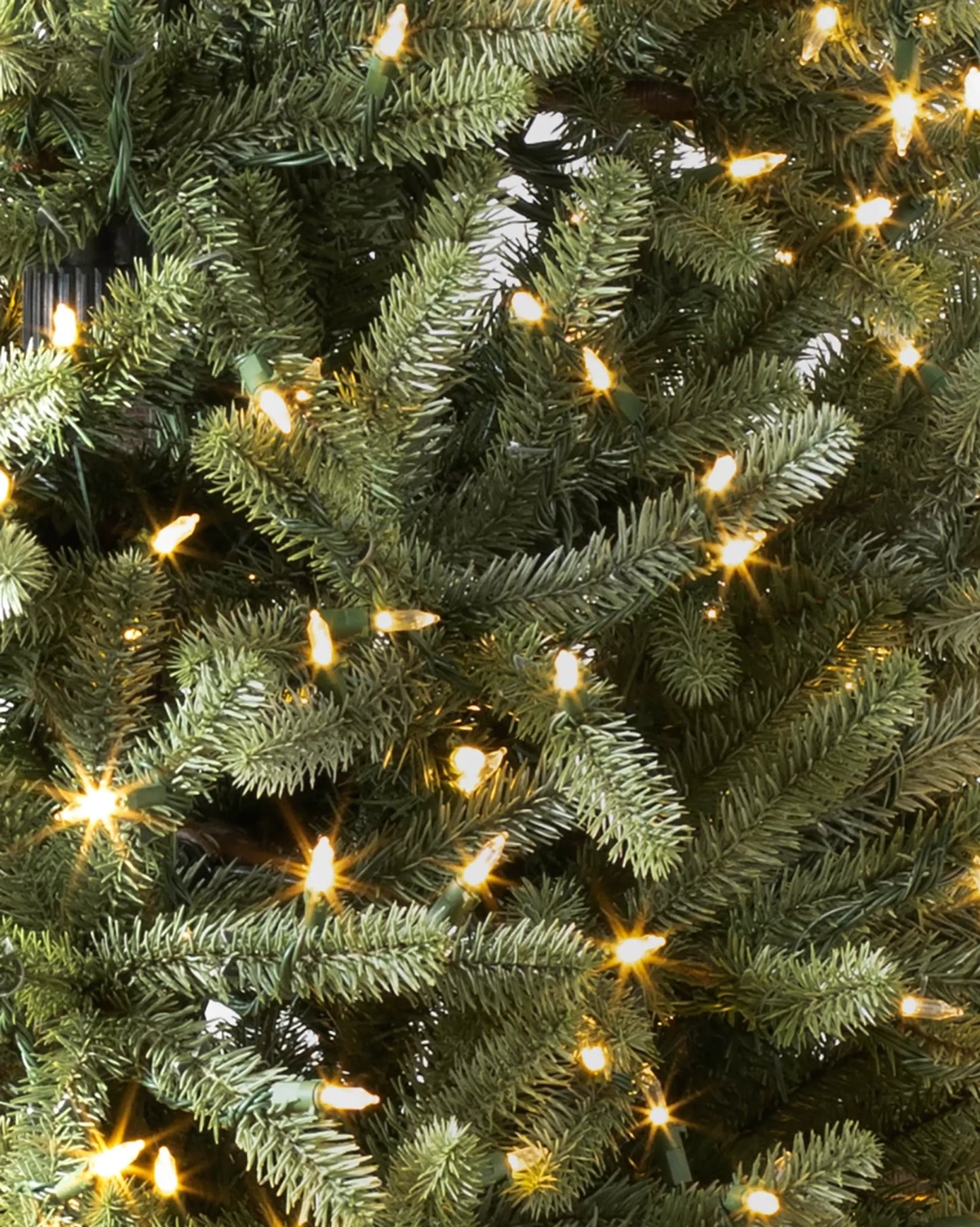 Sapin de Noël. 🎄 -50% De Rèduction